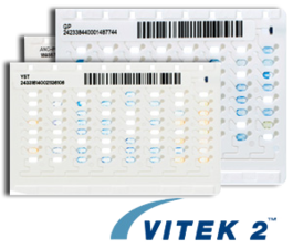 VITEK 2 - Antibiogrammes (Cartes)